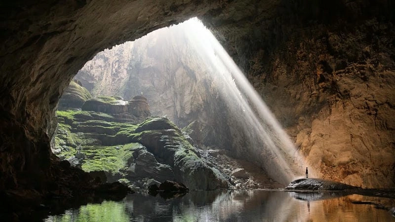 Hang Sơn Đoòng hình ảnh với hệ sinh thái độc đáo