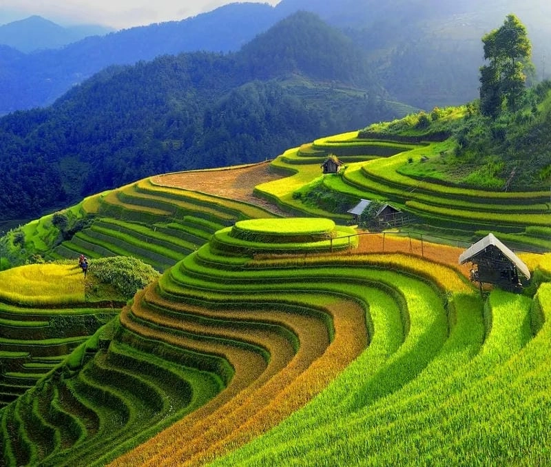 Hành trình du lịch Yên Bái với cảnh sắc thiên nhiên tuyệt vời
