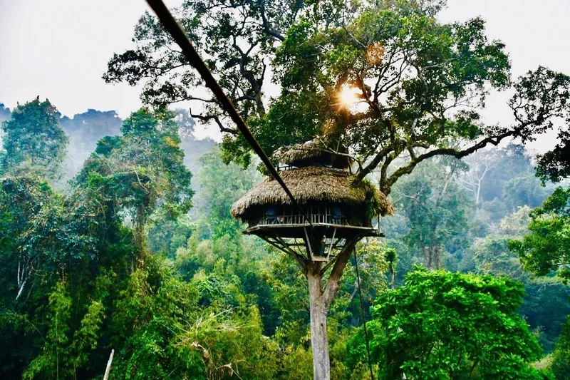 Hành trình khám phá thiên nhiên hoang dã Bokeo