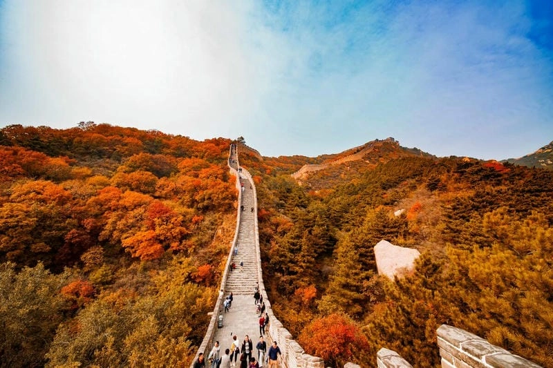 Hoàng hôn Bắc Kinh lãng mạn bên những hàng cây lá đỏ