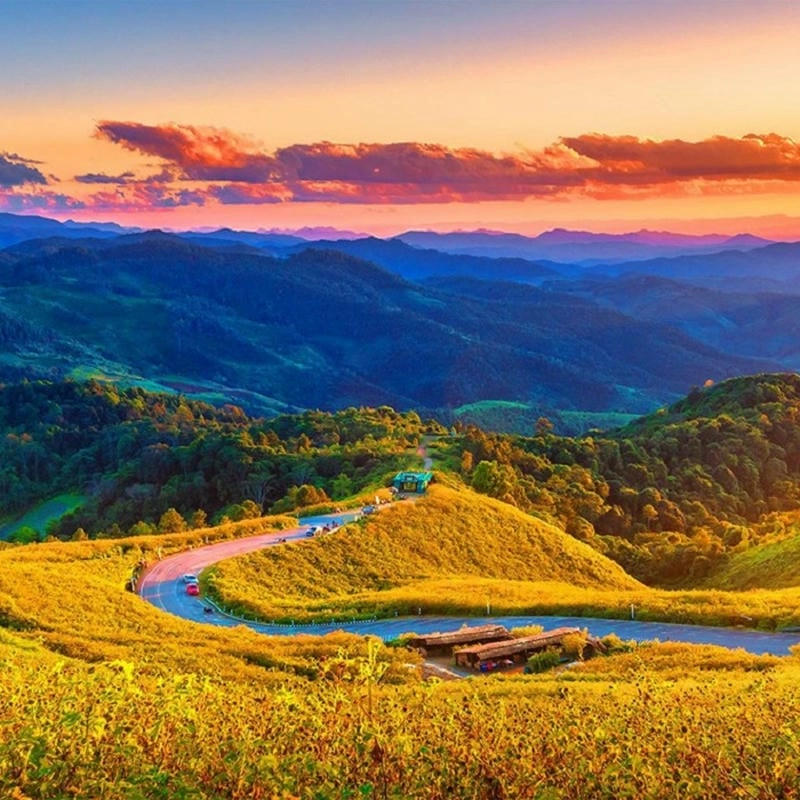 Hoàng hôn Đà Lạt nhuộm vàng ký ức