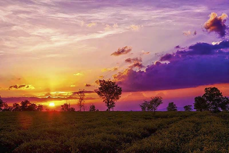 Hoàng hôn Gia Lai nhuộm màu sương mù dịu dàng