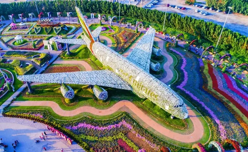 Hoạt động thú vị cho du khách