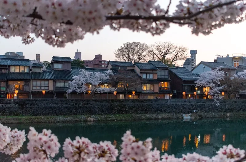 Kanazawa như một bức tranh sống động giữa đời