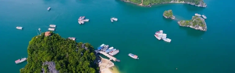 Khám phá Đảo Ti Tốp Hạ Long - Điểm đến hút hồn du khách năm 2026