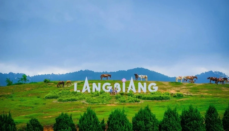 Khám Phá Núi Langbiang Đà Lạt: Chinh Phục Đỉnh Cao Hùng Vĩ