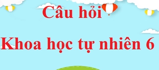 Khám phá sao chổi: Hiện tượng thiên văn kỳ thú và những điều bạn cần biết