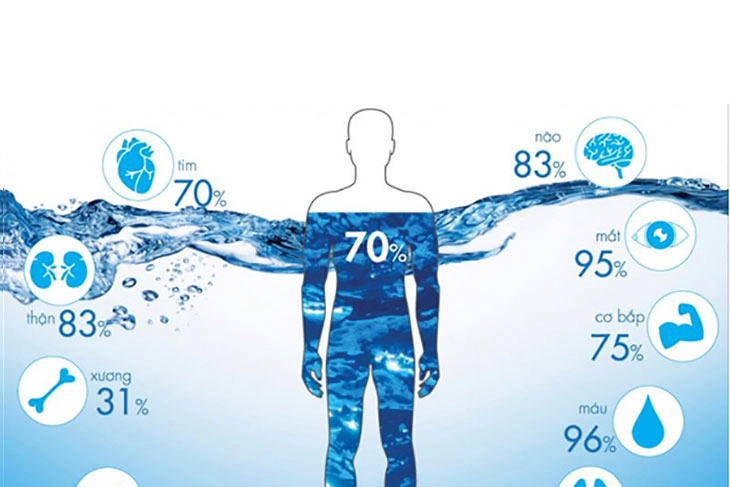 Khám phá Tầm quan trọng của H2O