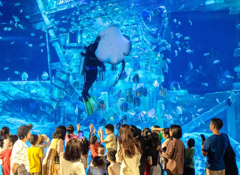 Khám Phá Thủy Cung Lotte Mall Tây Hồ: Trải Nghiệm Đại Dương Thu Nhỏ