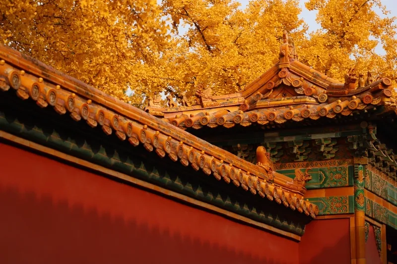 Khám phá từng góc nhỏ trong Tử Cấm Thành xưa