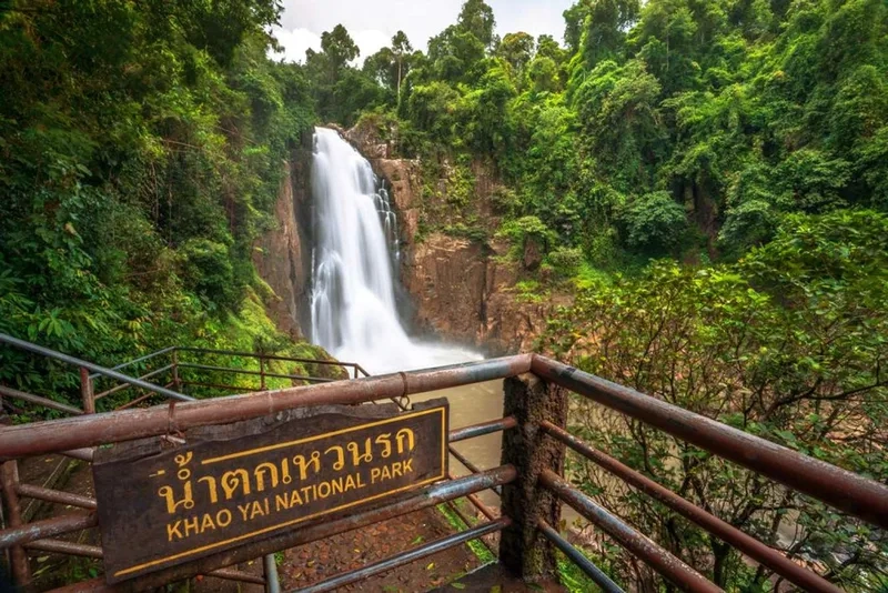 Khao Yai khu rừng xanh cho chuyến trekking thú vị