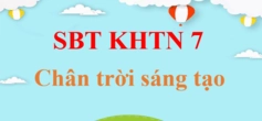Khí Khổng Là Gì? Cấu Tạo, Chức Năng và Vai Trò Quan Trọng Trong Thực Vật