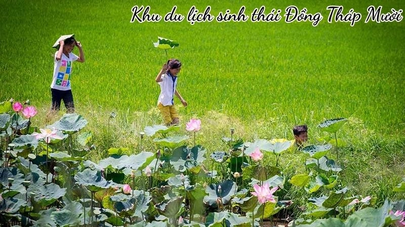 Khu du lịch sinh thái Đồng Tháp Mười là một bức tranh sông nước hữu tình
