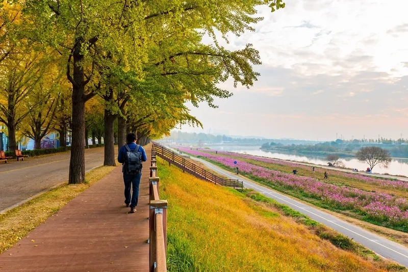 Khung cảnh Asan khiến ai cũng mê mẩn