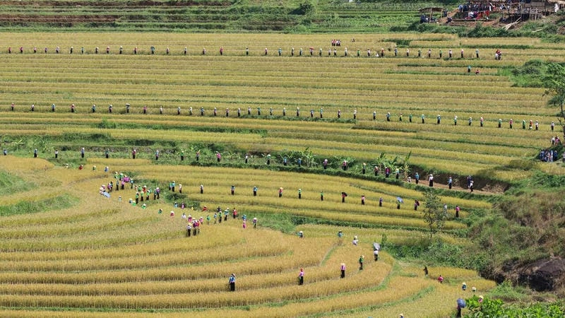 Khung cảnh Hòa Bình thơ mộng tựa tranh vẽ mùa thu