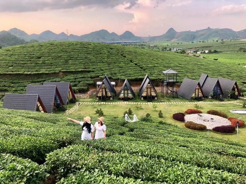 Thư giãn tại không gian villa Mộc Châu của Villa đồi chè Mộc Châu