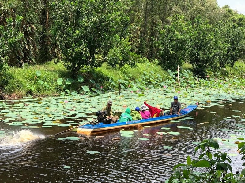 Khung cảnh thơ mộng trong ảnh Cà Mau đẹp