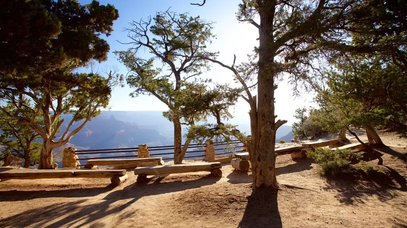Kinh nghiệm tham quan Grand Canyon