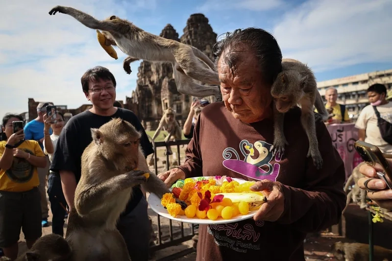 Kinh nghiệm tham quan Lopburi