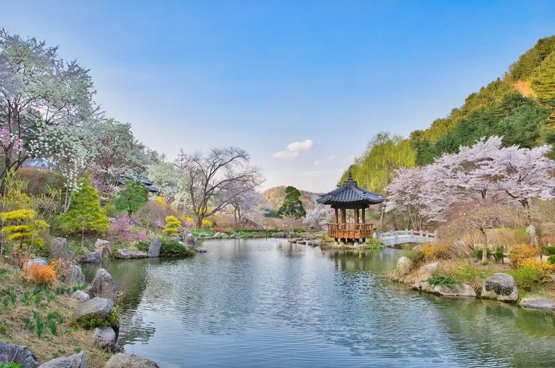 Kinh nghiệm tham quan Nami Island