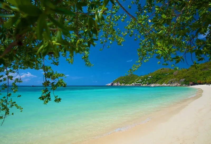 Koh Tao hấp dẫn du khách bởi làn nước trong