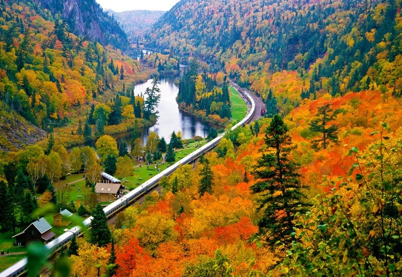 Lá đỏ rực rỡ khắp nơi ở đất nước Canada.