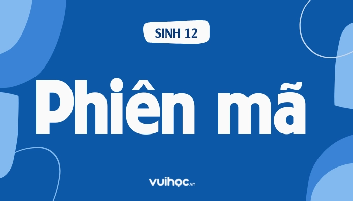 Làm khuôn mẫu cho quá trình phiên mã là nhiệm vụ của ai?