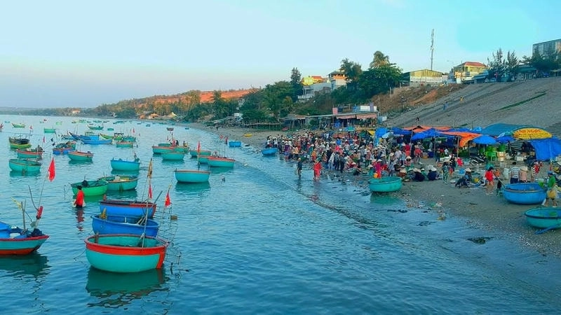 Làng chài Mũi Né nhộn nhịp lúc bình minh