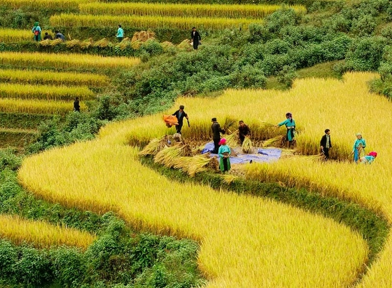 Lãng đãng se lạnh mùa thu Hà Giang