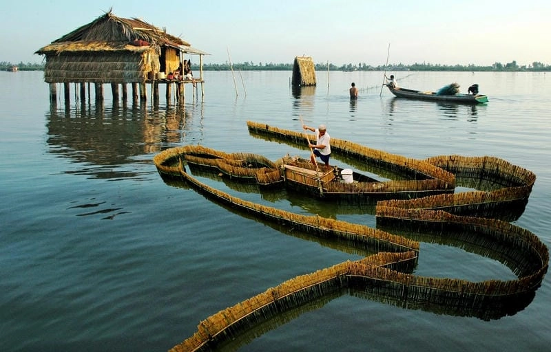 Làng quê thanh bình trong bình yên Cà Mau