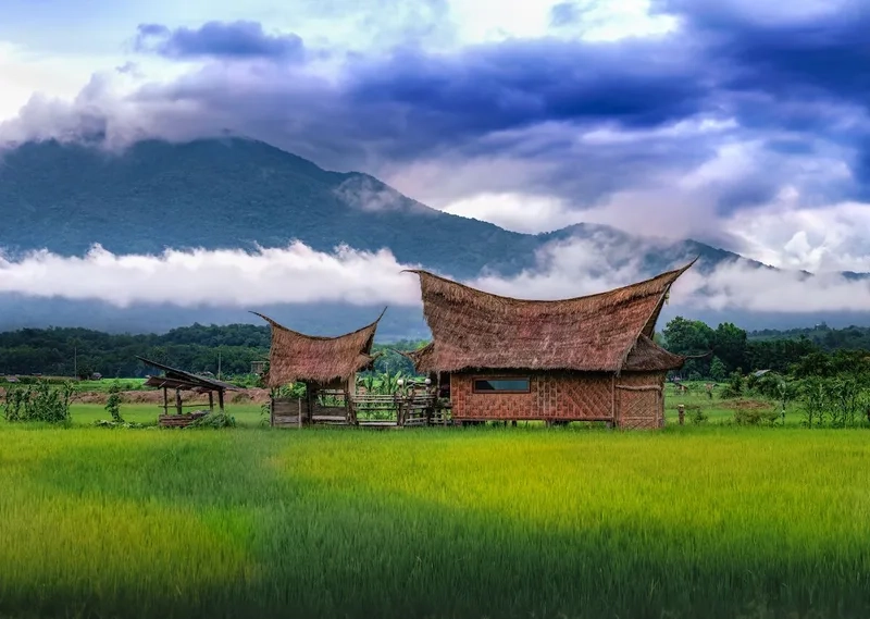 Lịch sử hình thành và phát triển của Nan