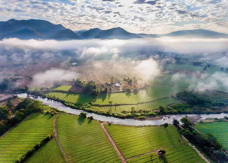 Lịch sử hình thành và phát triển của Pai