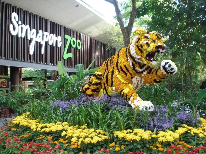 Lịch sử hình thành và phát triển của Singapore Zoo