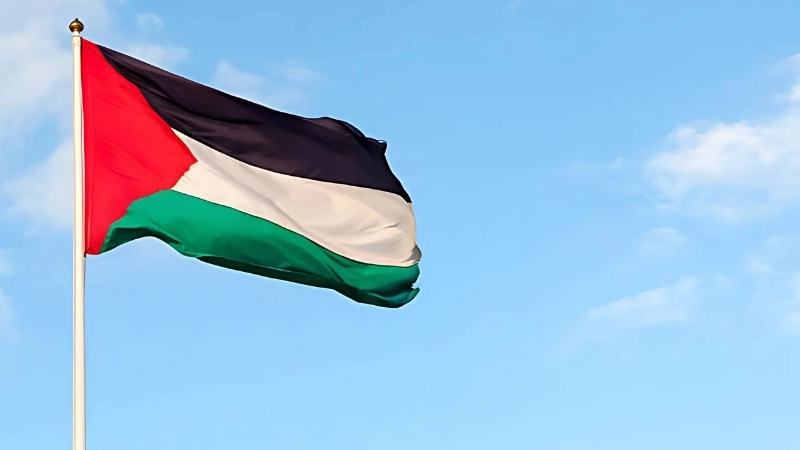 Lịch sử, nguồn gốc ra đời của quốc kỳ Palestine
