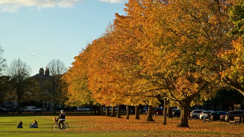 London mang vẻ đẹp kiêu kỳ và thanh lịch