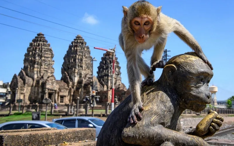 Lopburi nổi bật với kiến trúc cổ điển