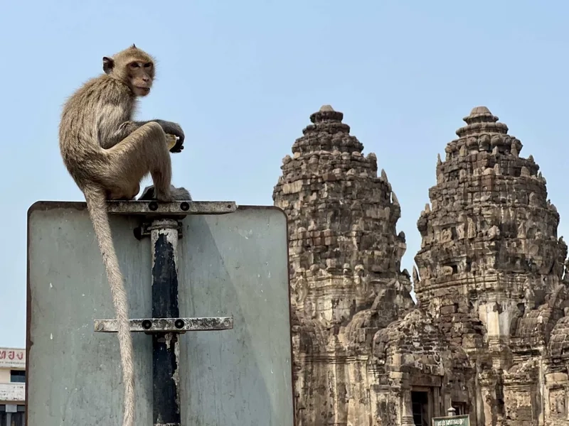 Lopburi và vẻ đẹp bình yên của miền đất Thái