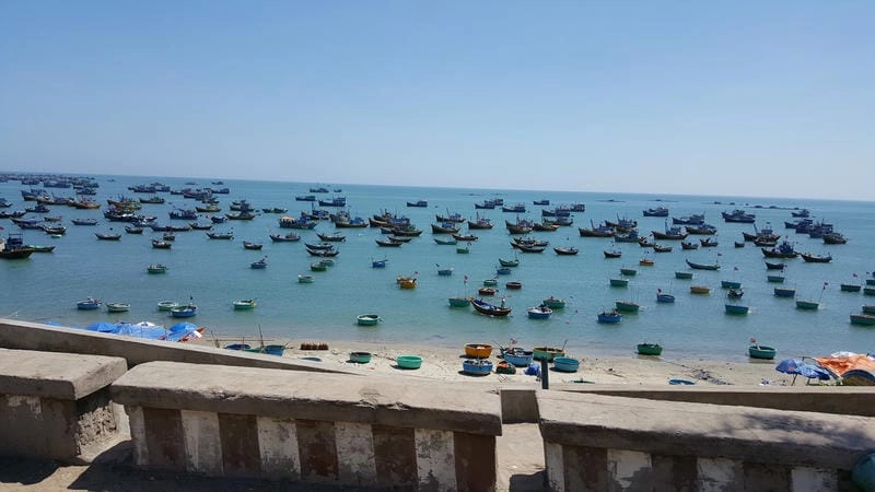Lướt ván trên sóng biển Mũi Né Bình Thuận