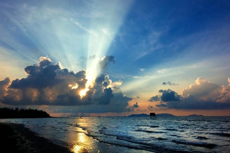 Lý do biển Cần Giờ thu hút du khách nằm ở nét đẹp hoang sơ cuốn hút