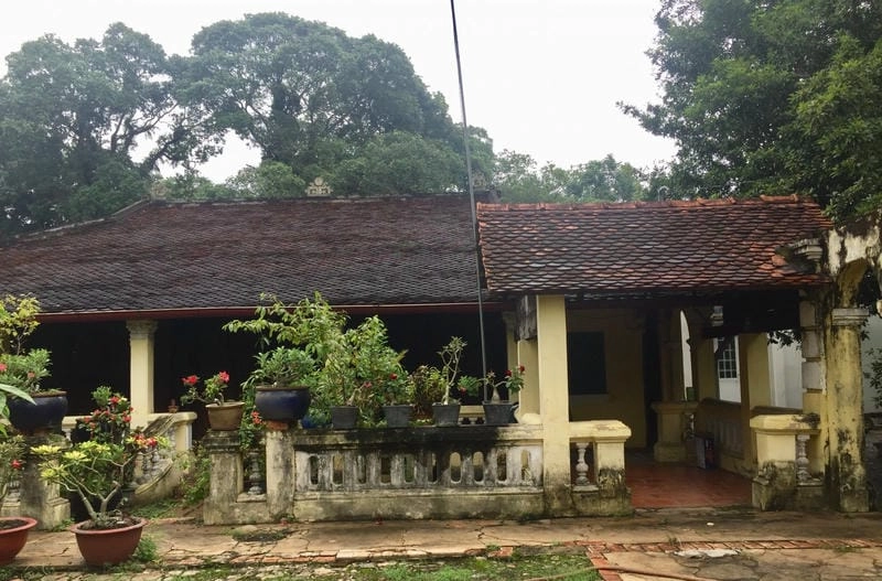 Mái ngói cổ Nhà cổ Quảng Trị đầy giá trị