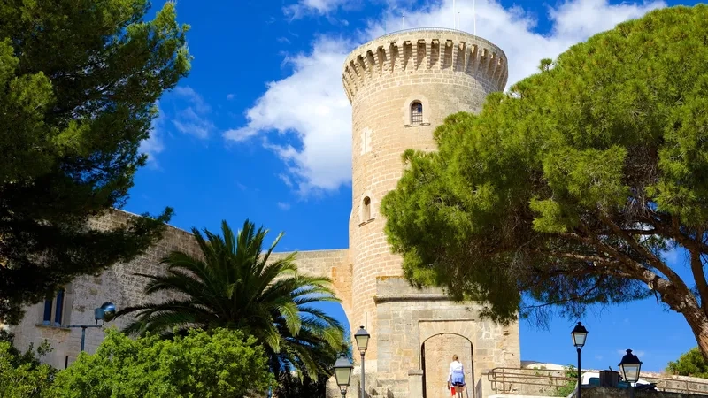 Mallorca làm say đắm trái tim mọi du khách