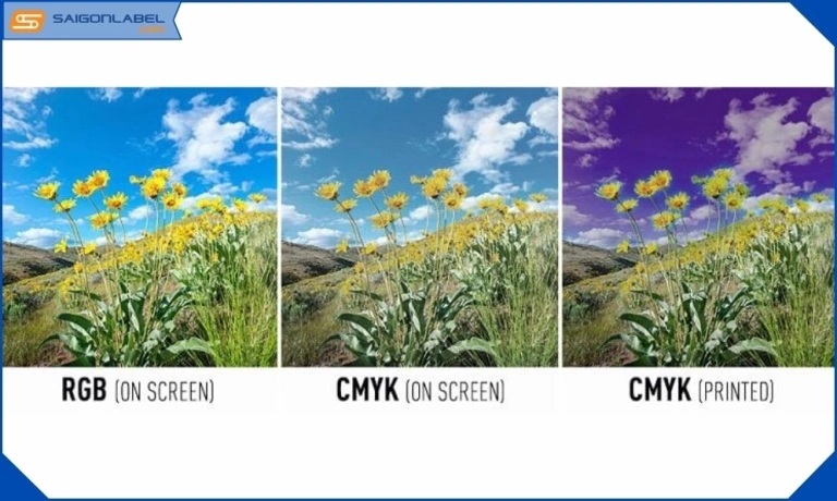 Màu RGB và CMYK: Hiểu Rõ Sự Khác Biệt Và Lựa Chọn Cho Dự Án