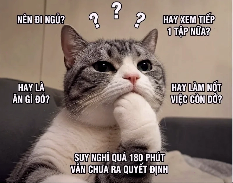 meme cuộc sống hài hước ý nghĩa về áp lực deadline