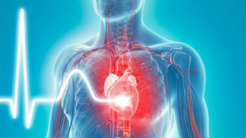 Một trong những biến chứng nghiêm trọng nhất của viêm khớp dạng thấp là tổn thương tim mạch