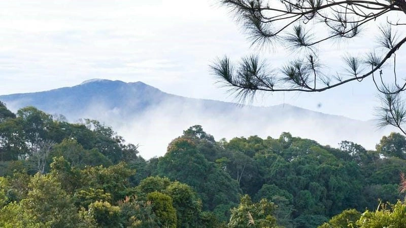Mùa đông sương mù Kon Tum hiện lên thật huyền ảo