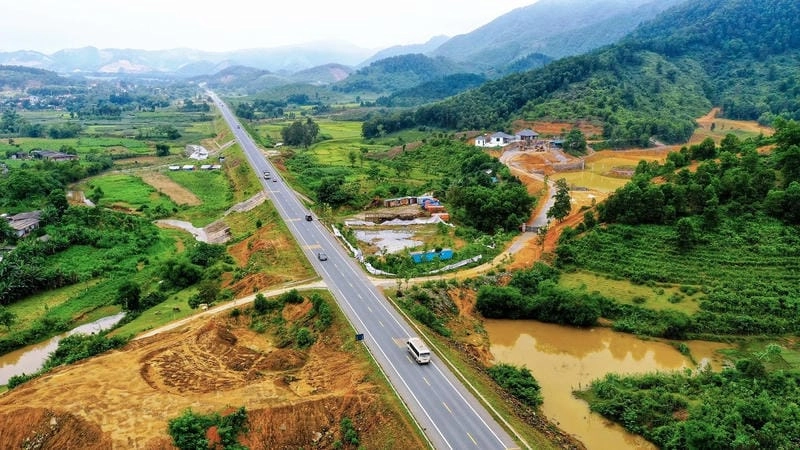 Mùa lúa Mai Châu trải dài, bức tranh thiên nhiên sống động