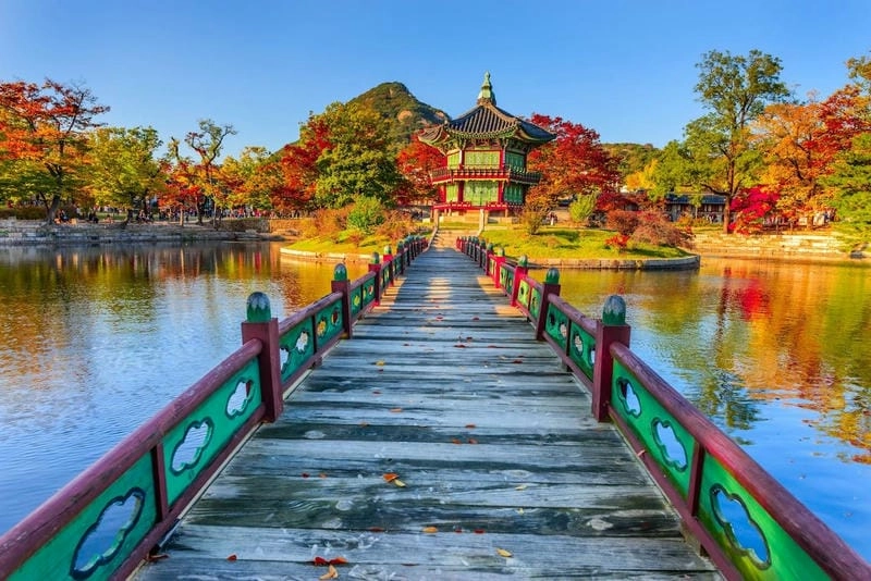 Mùa thu Hàn Quốc ngập tràn sắc lá đỏ
