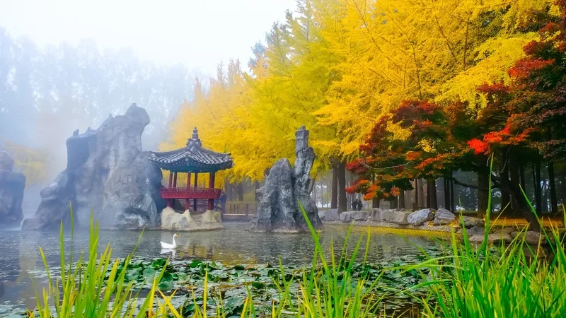Nami Island thiên đường du lịch bốn mùa hấp dẫn
