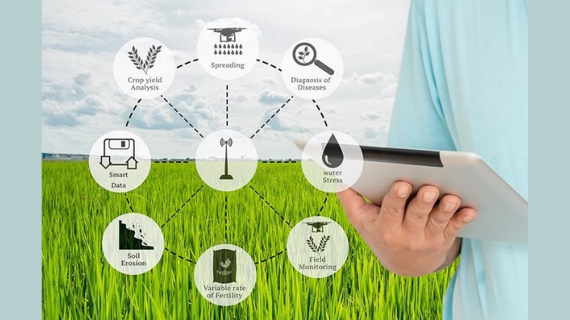 Nâng cao giá trị sản phẩm nhờ công nghệ blockchain nông nghiệp