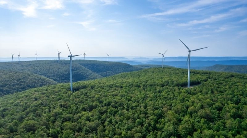 Năng lượng sạch và tương lai không carbon